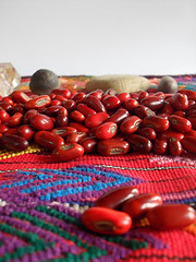 Tz'ite' beans used for divination, prophecies, healing