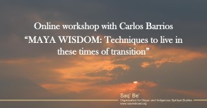 Online_workshop_Carlos_Barrios-1