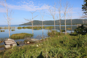 Alligator Formation at lake Peten Itza